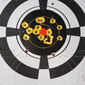 25 yard pistol target